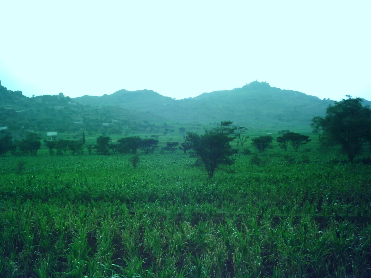 Dr Jamal uploaded visual archive 13