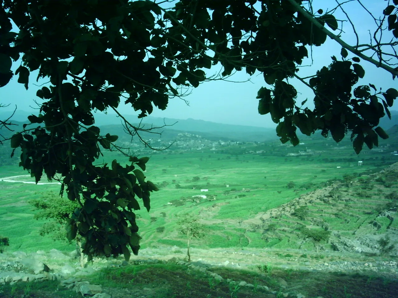 Dr Jamal uploaded visual archive 8